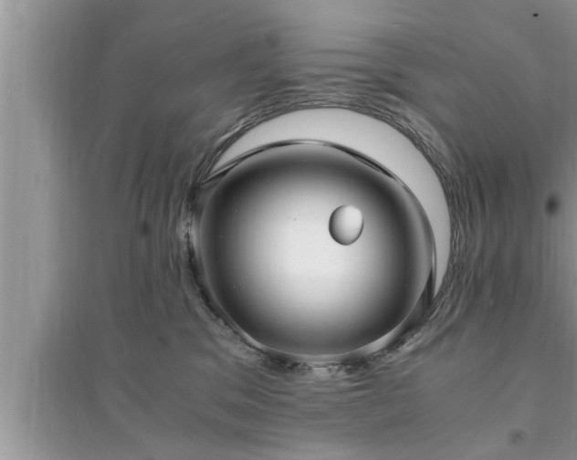 X0000095520329200712211308