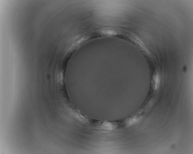 X0000095520330200712211308