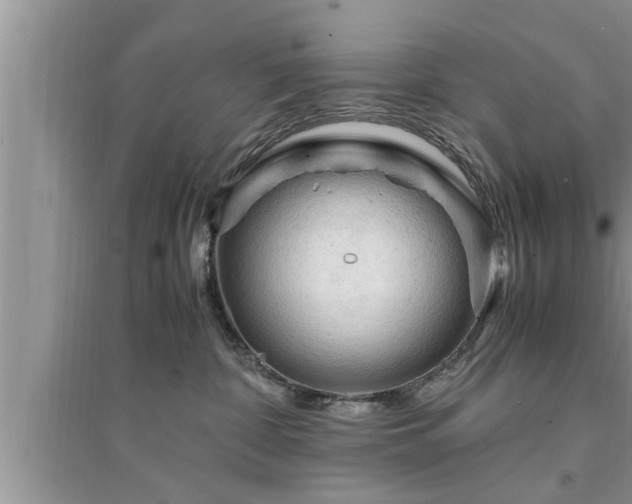 X0000095520332200712211308