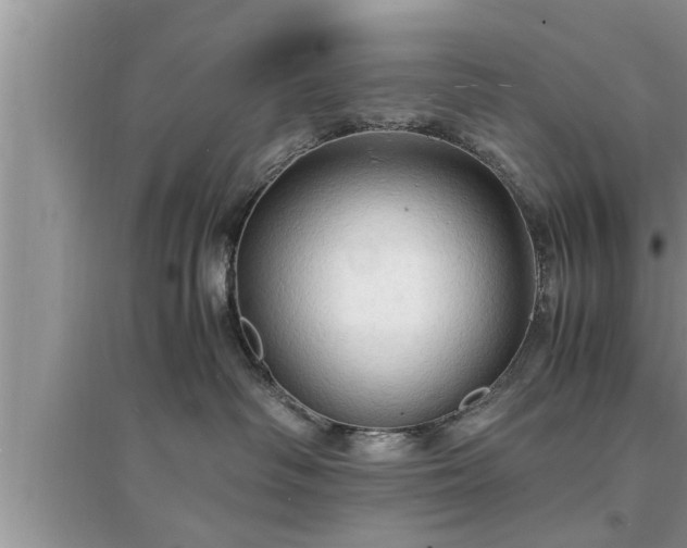 X0000095520334200712211308