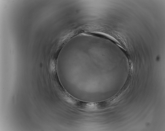 X0000095520335200712211308