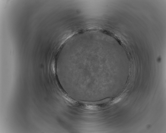 X0000095520336200712211308