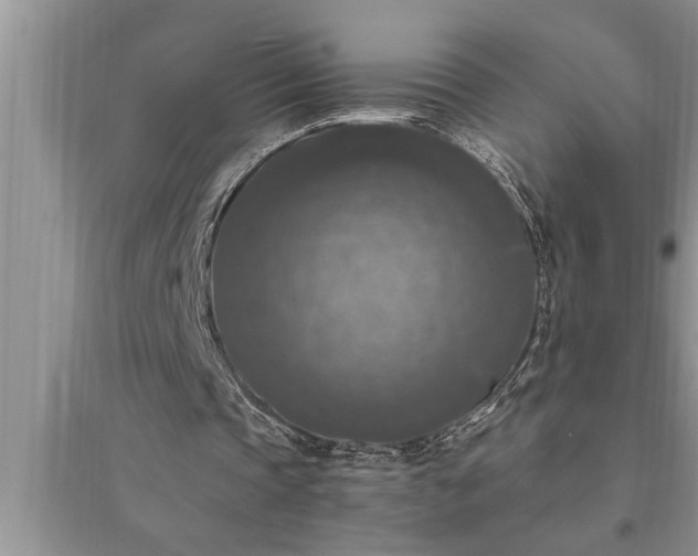 X0000095520337200712211308