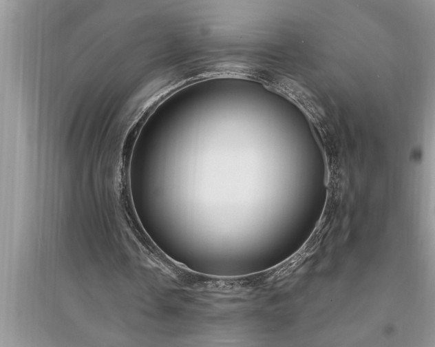 X0000095520338200712211308