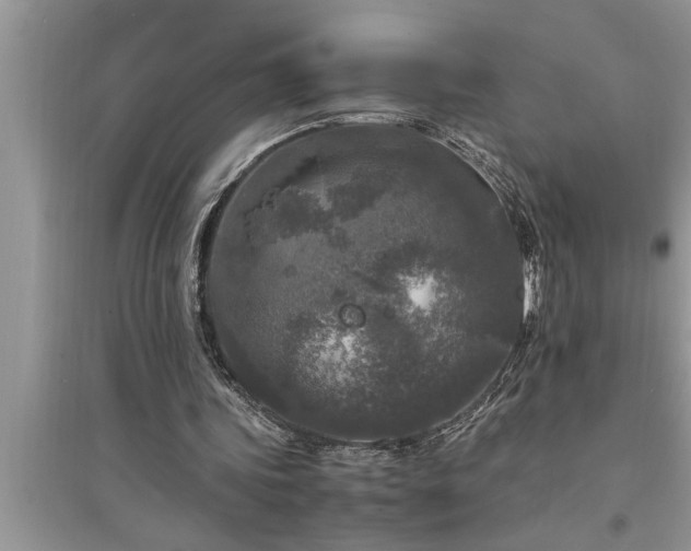 X0000095520339200712211308