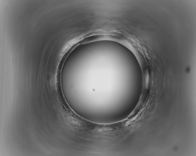 X0000095520340200712211308