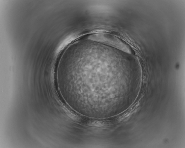 X0000095520341200712211308