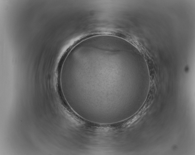 X0000095520342200712211308