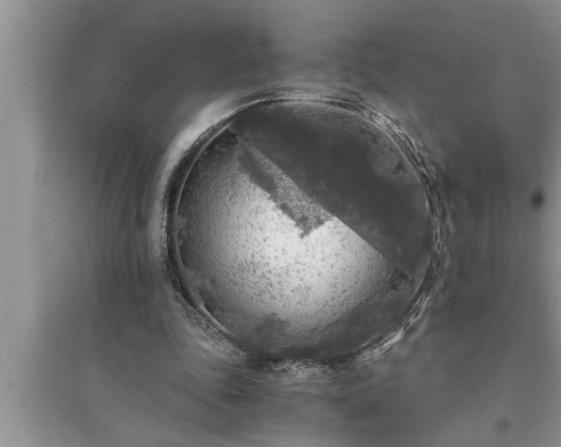 X0000095520343200712211308