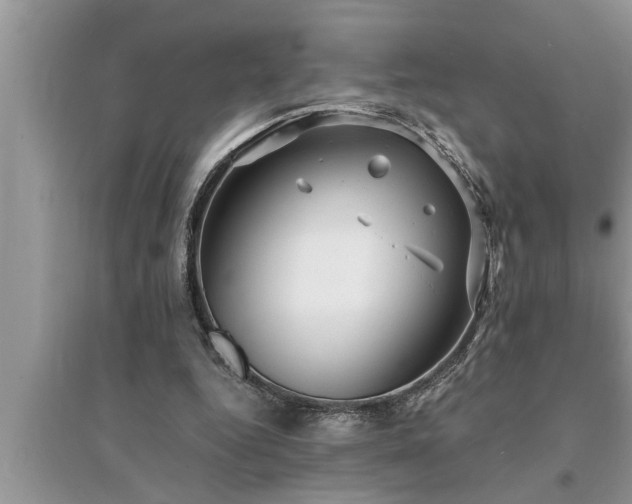 X0000095520344200712211308