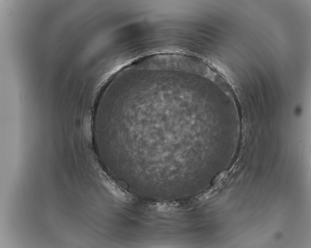 X0000095520345200712211308