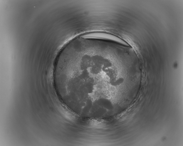 X0000095520346200712211308