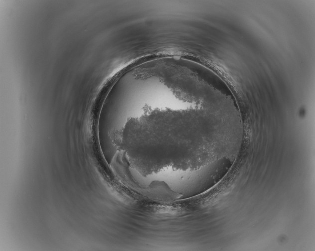 X0000095520347200712211308