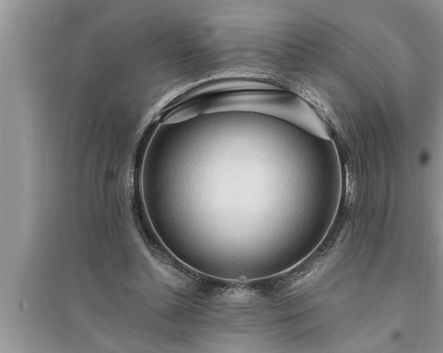 X0000095520348200712211308