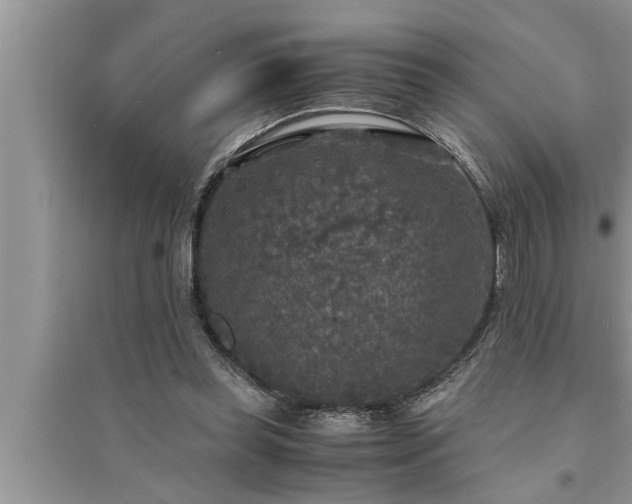 X0000095520349200712211308