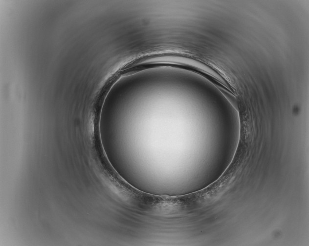 X0000095520350200712211308