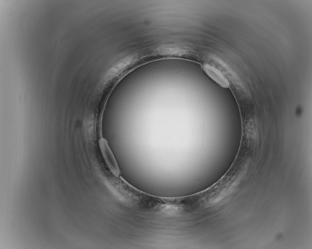 X0000095520352200712211308