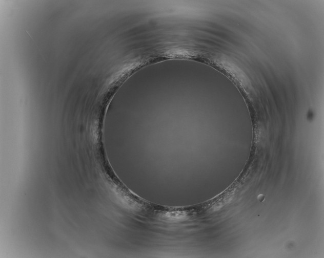 X0000095520353200712211308