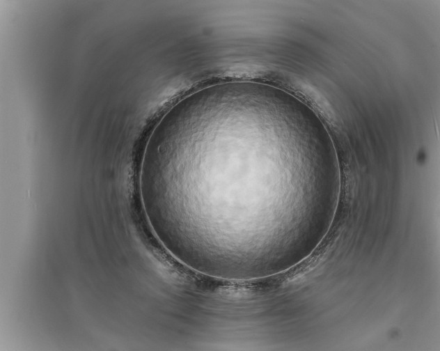 X0000095520354200712211308