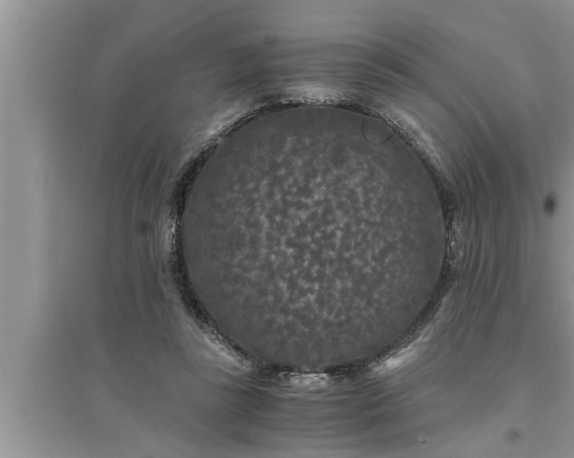 X0000095520355200712211308