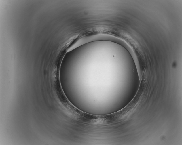 X0000095520356200712211308