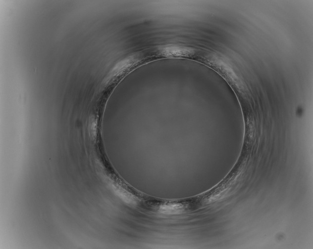 X0000095520357200712211308