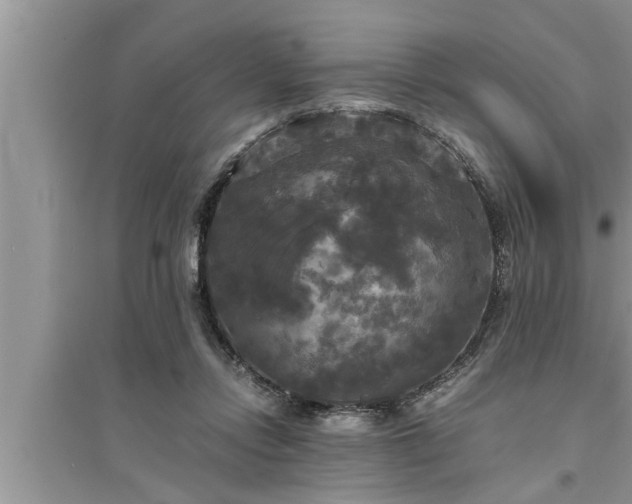 X0000095520358200712211308