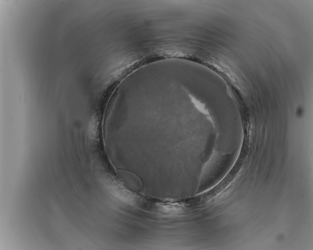 X0000095520359200712211308