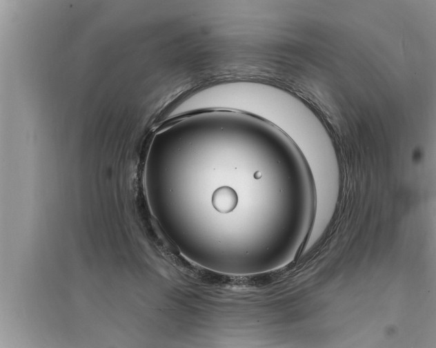 X0000095520360200712211308