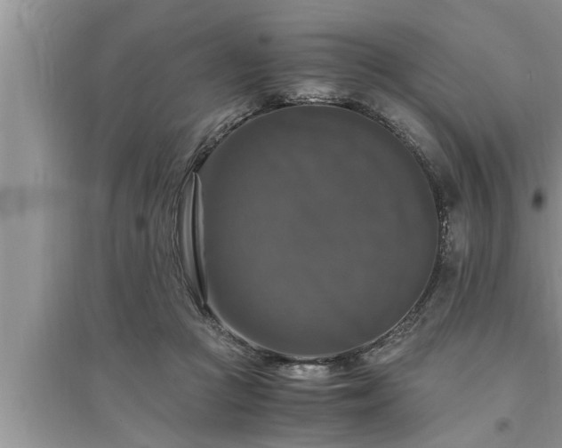 X0000095520361200712211308