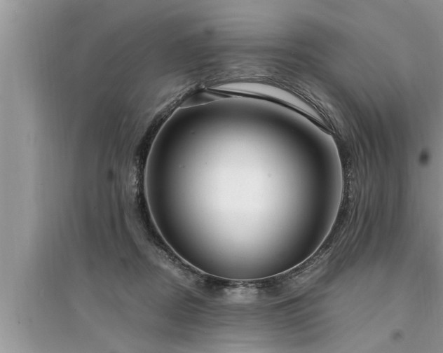 X0000095520362200712211308