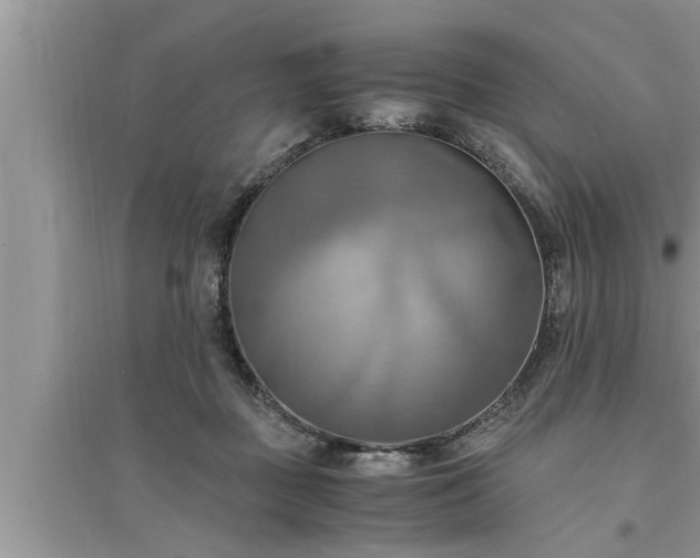 X0000095520363200712211308