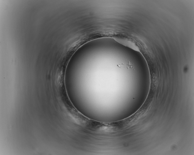 X0000095520364200712211308