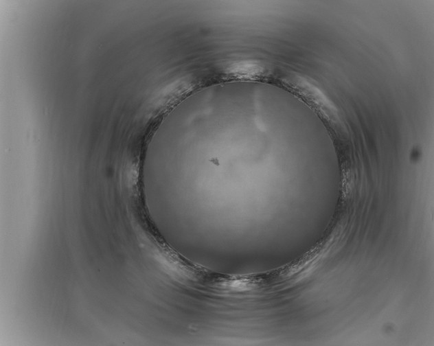 X0000095520365200712211308