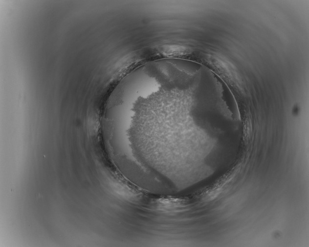 X0000095520367200712211308