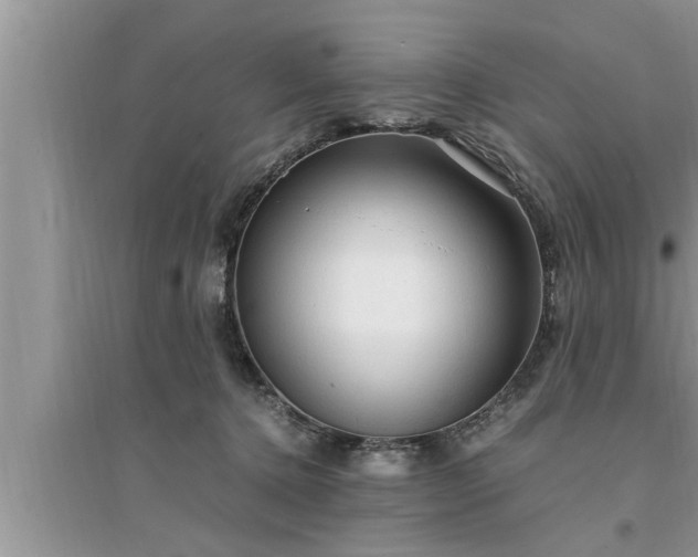 X0000095520368200712211308