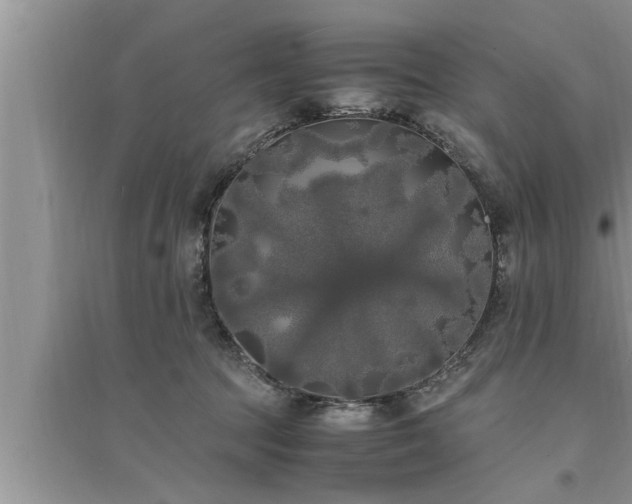 X0000095520369200712211308