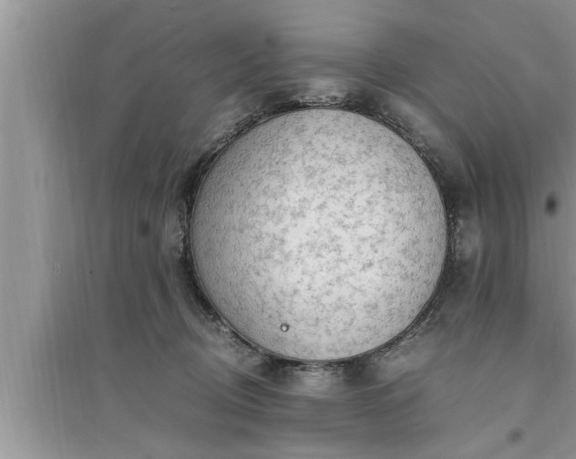 X0000095520370200712211308