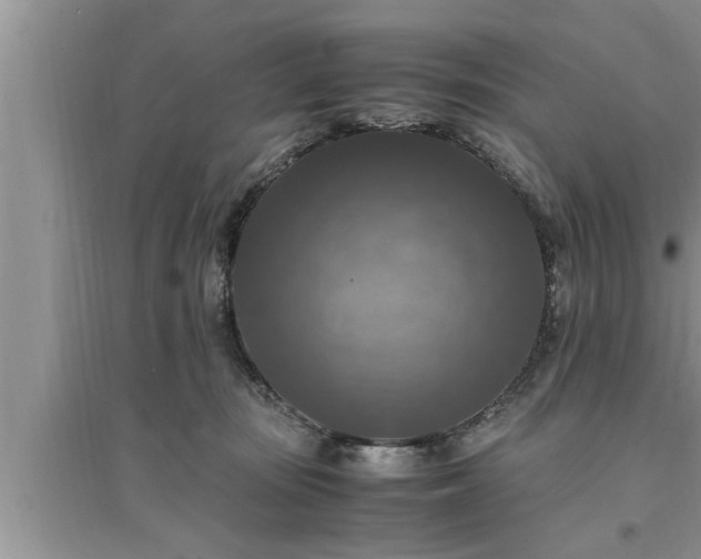 X0000095520371200712211308