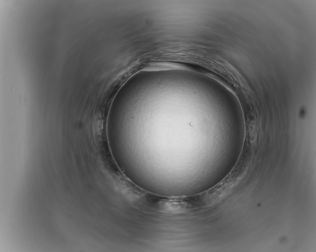 X0000095520372200712211308