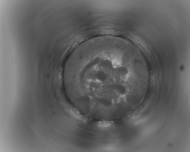 X0000095520373200712211308