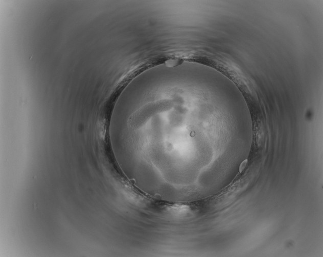 X0000095520374200712211308