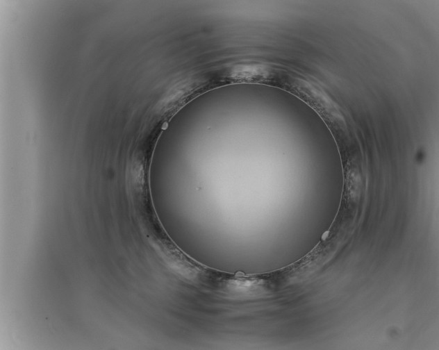 X0000095520375200712211308