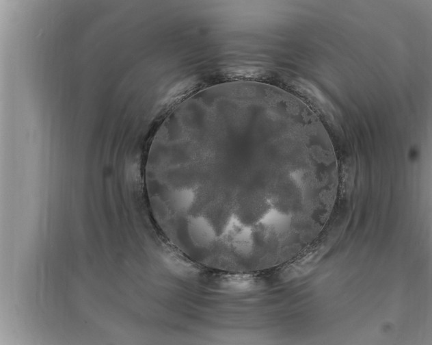 X0000095520377200712211308