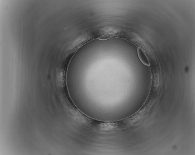 X0000095520378200712211308