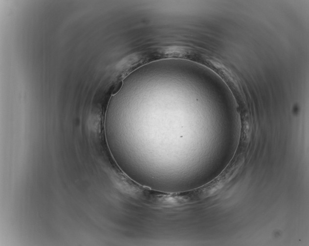 X0000095520379200712211308