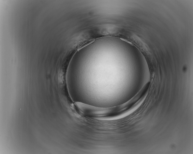 X0000095520380200712211308