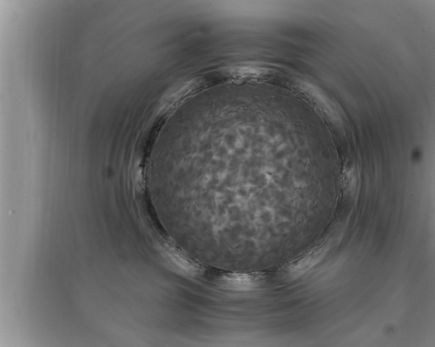 X0000095520381200712211308