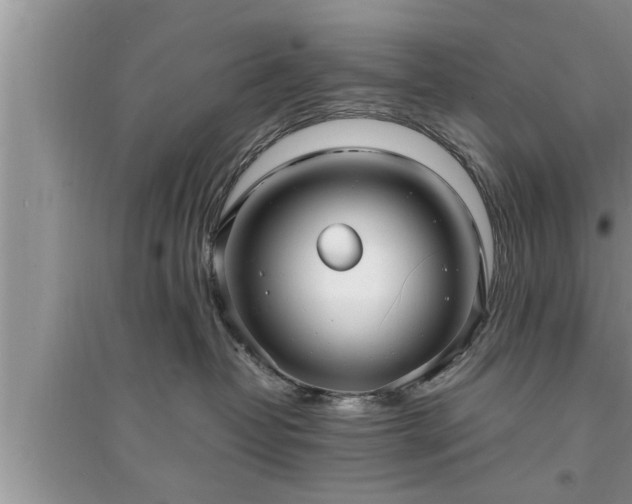 X0000095520382200712211308