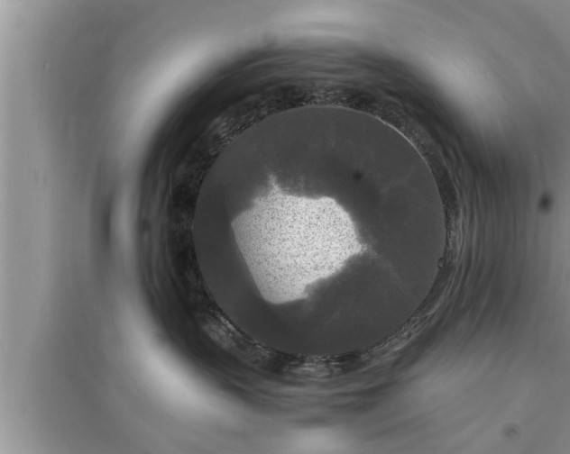 X0000095520383200712211308